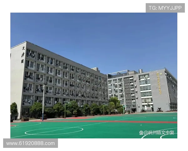 杭州网球队包夹战术创新探讨与实践分析