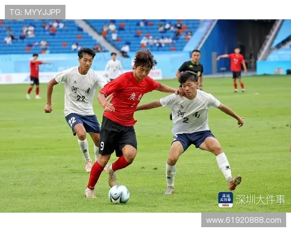 杭州足球队运营分析：成功与挑战并存的背后故事