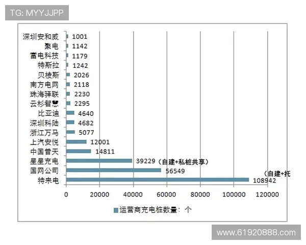 武汉排球队运营策略深度分析与发展前景探讨 武汉排球队运营策略深度分析与发展前景探讨