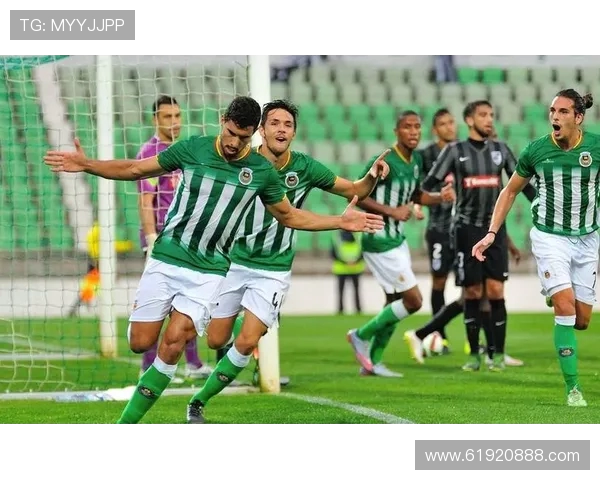 2019年珀斯对阵悉尼的比赛比分预测及分析展望