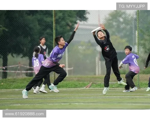 重庆飞盘队的耐力训练与竞技表现全面解析