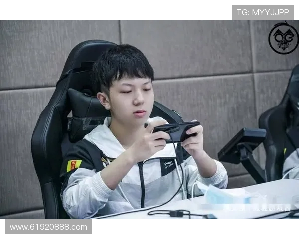 王者荣耀深度解析:BLG战队协作与战术配合的成功之道 王者荣耀深度解析:BLG战队协作与战术配合的成功之道