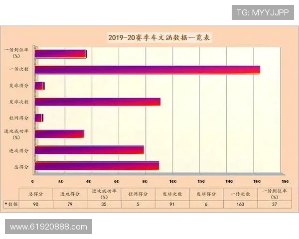 南京排球队实力对比深度解析与未来发展展望