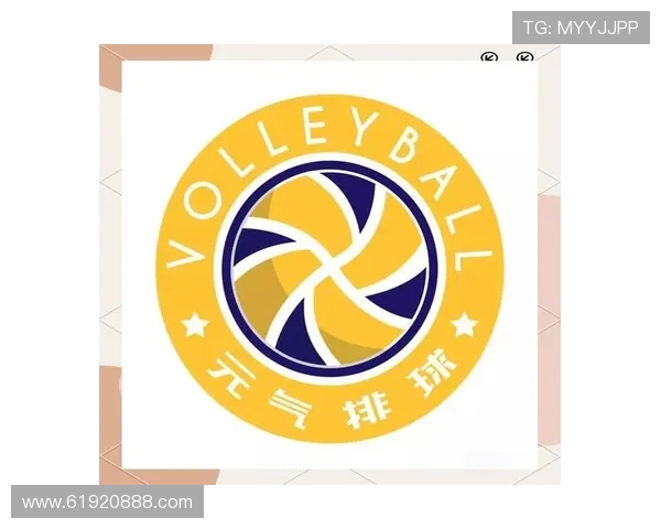 排球盛宴：深入解析杭州排球队的技术与战术魅力